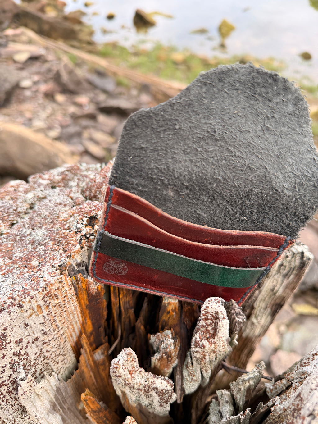 Multicolor layered leather card wallet on driftwood