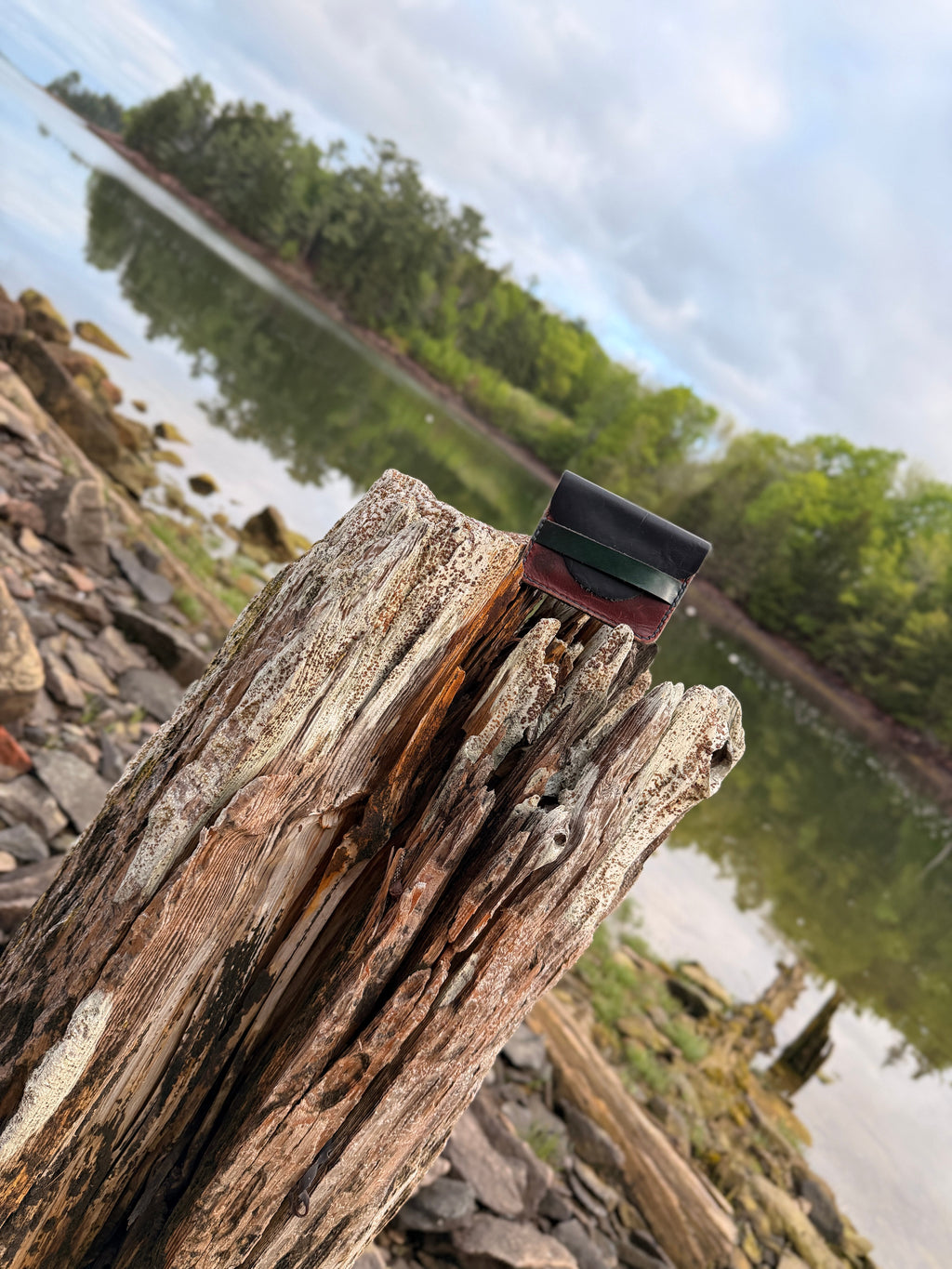 Forest green leather pouch on driftwood by the water