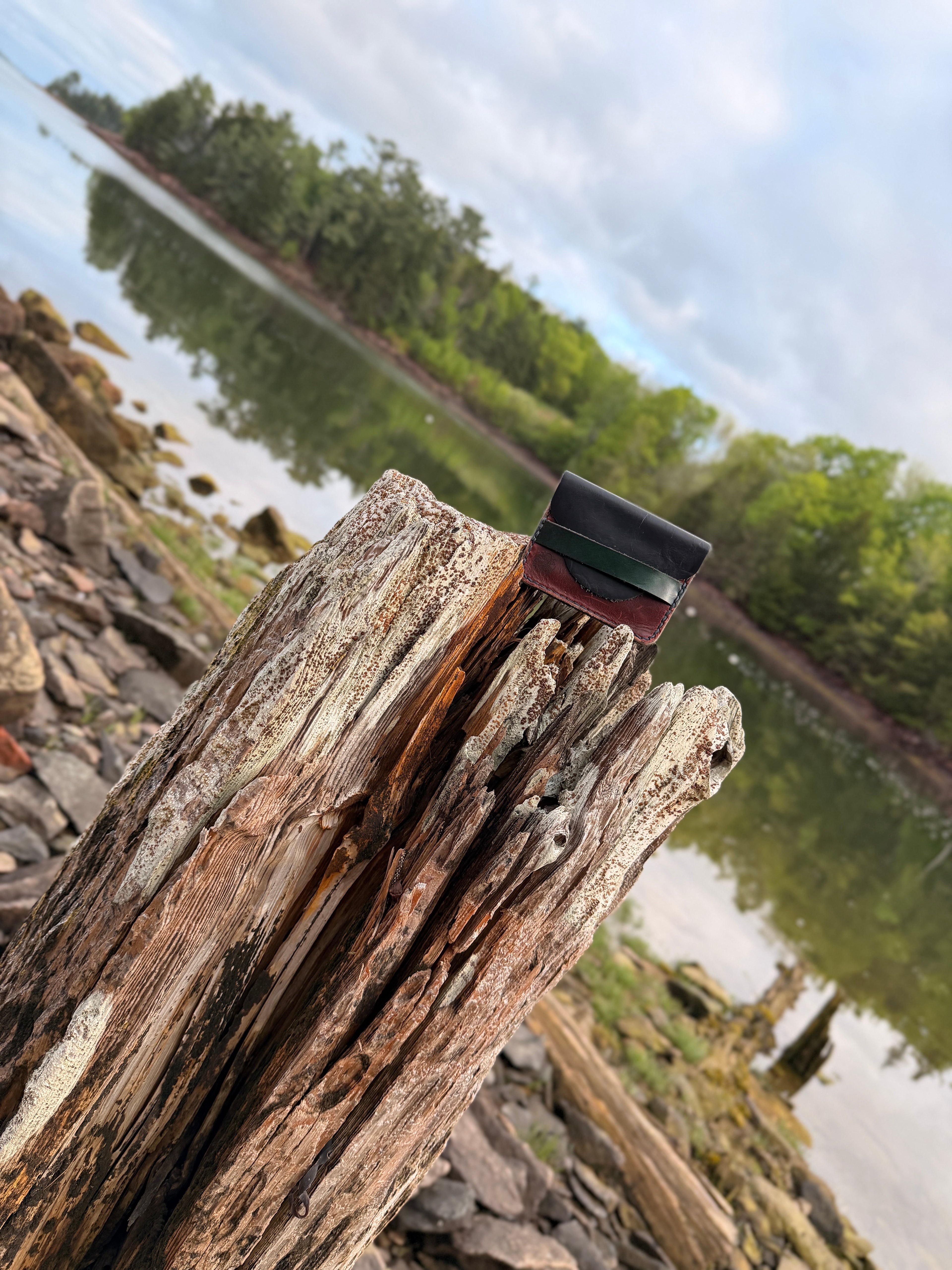 Forest green leather pouch on driftwood by the water