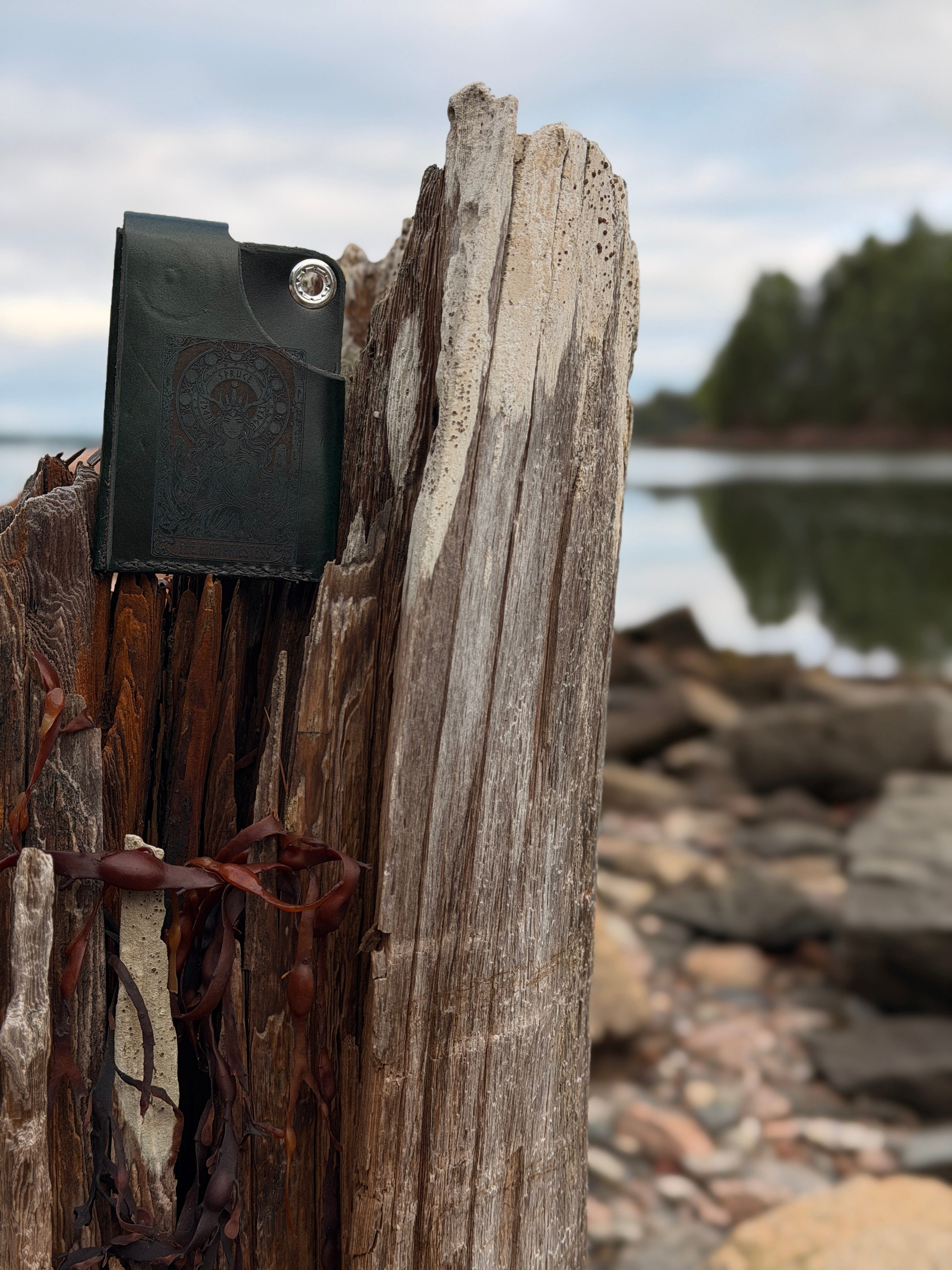 Forest green leather pouch on driftwood post