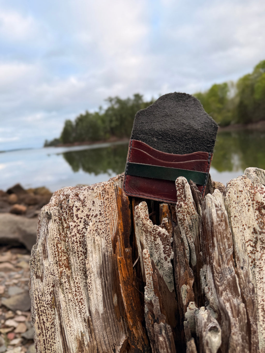 Two-tone leather card wallet on a driftwood post