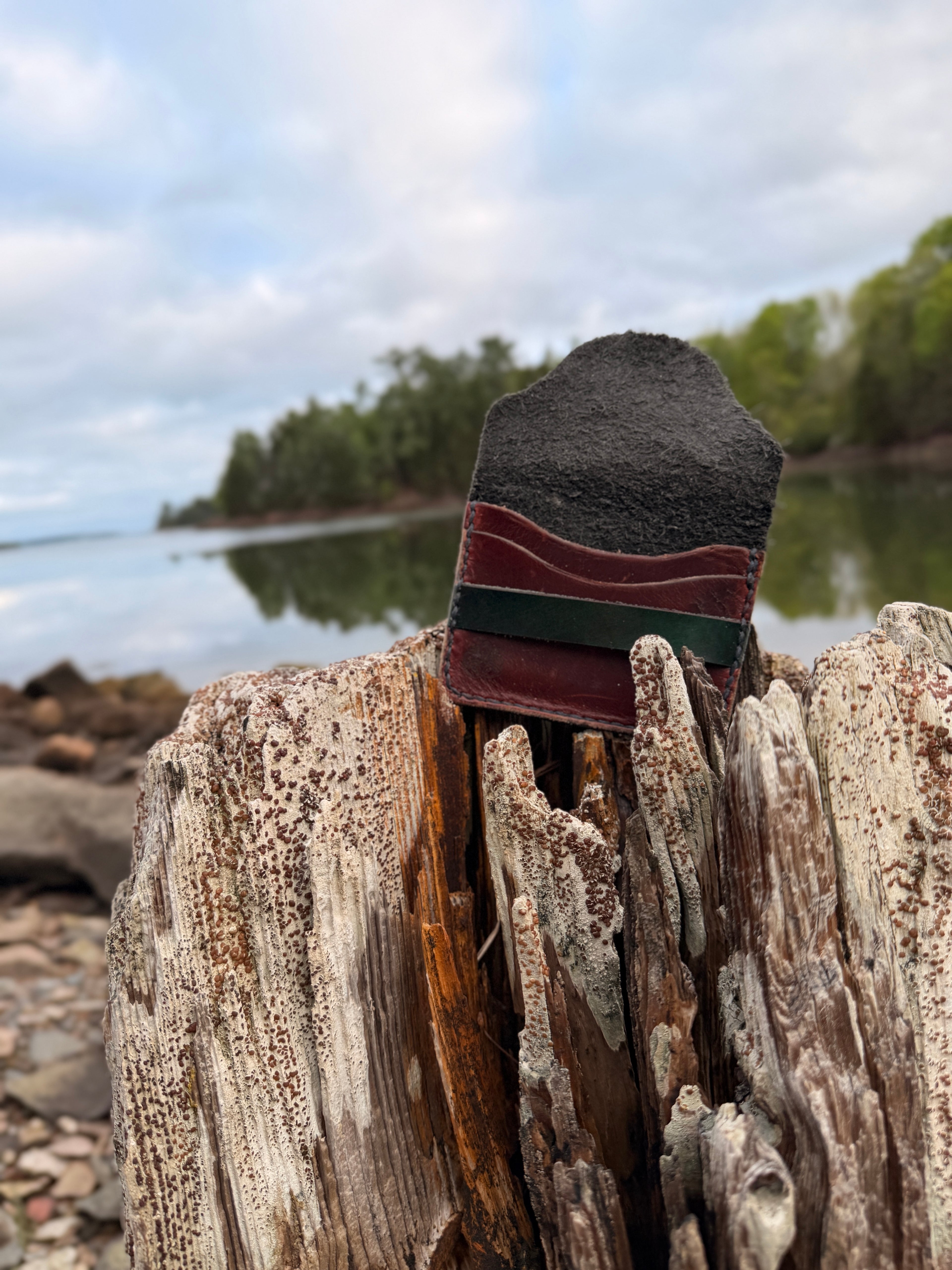 Two-tone leather card wallet on a driftwood post
