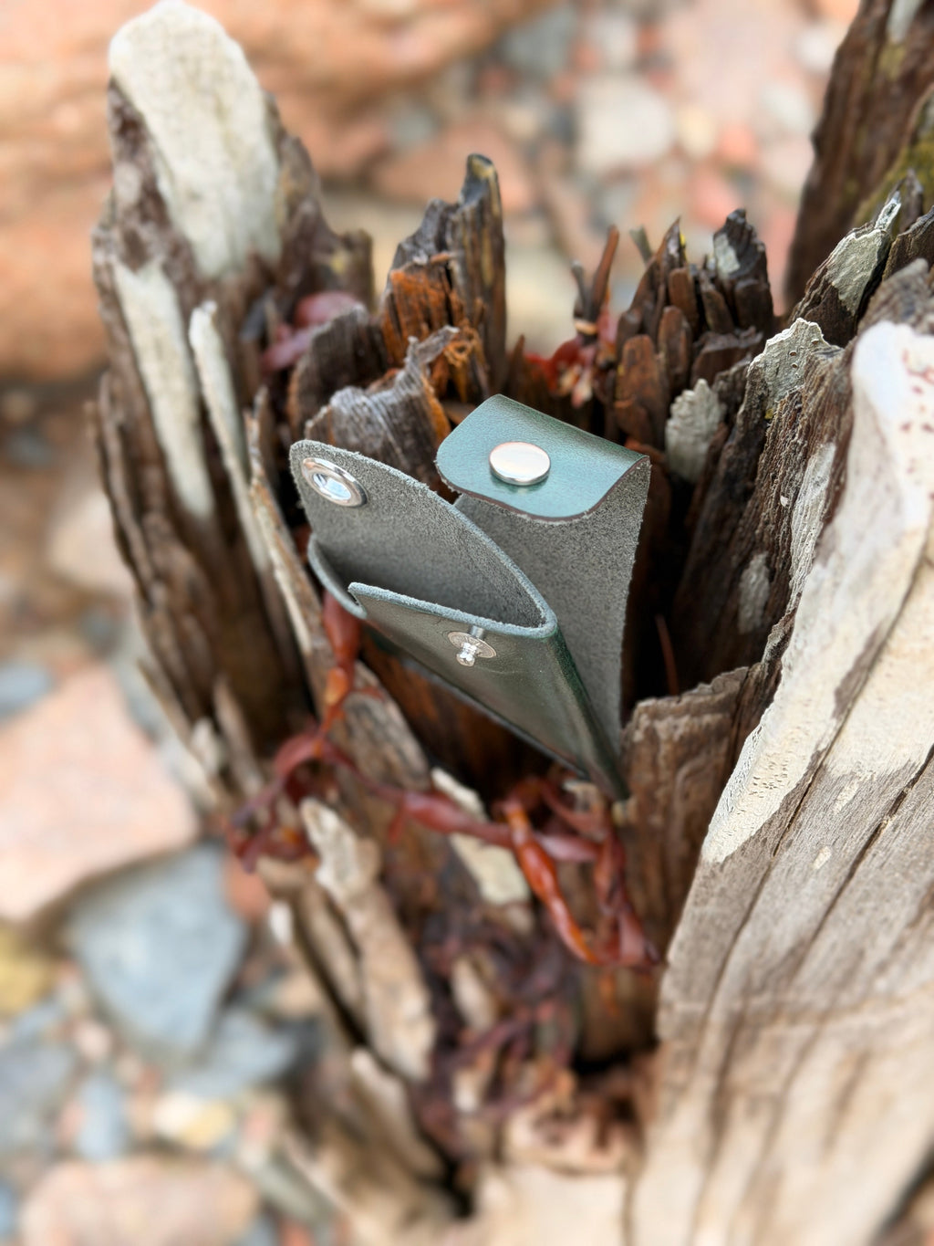 Forest green leather pouch nestled in driftwood