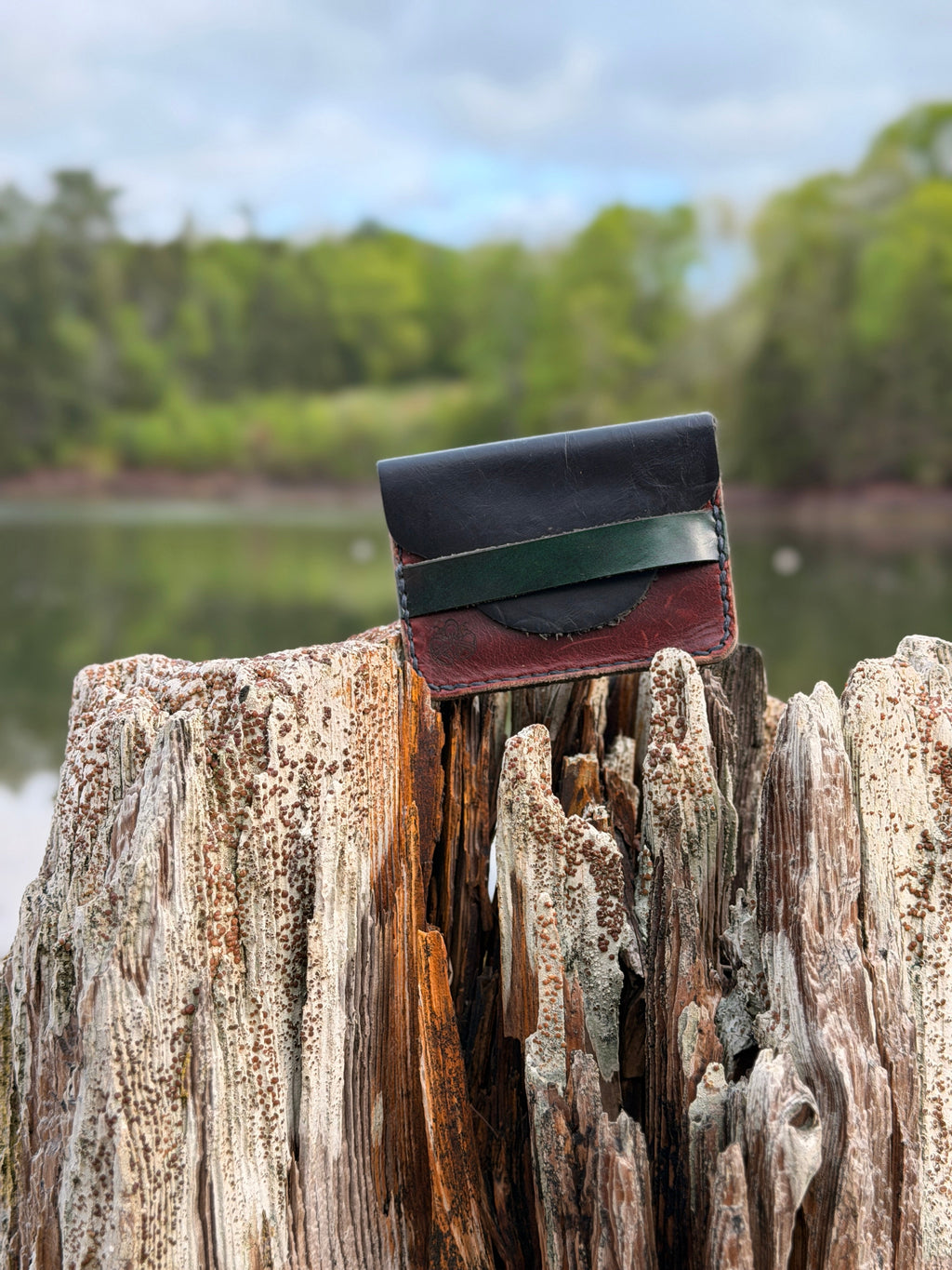 Forest green leather pouch open on driftwood