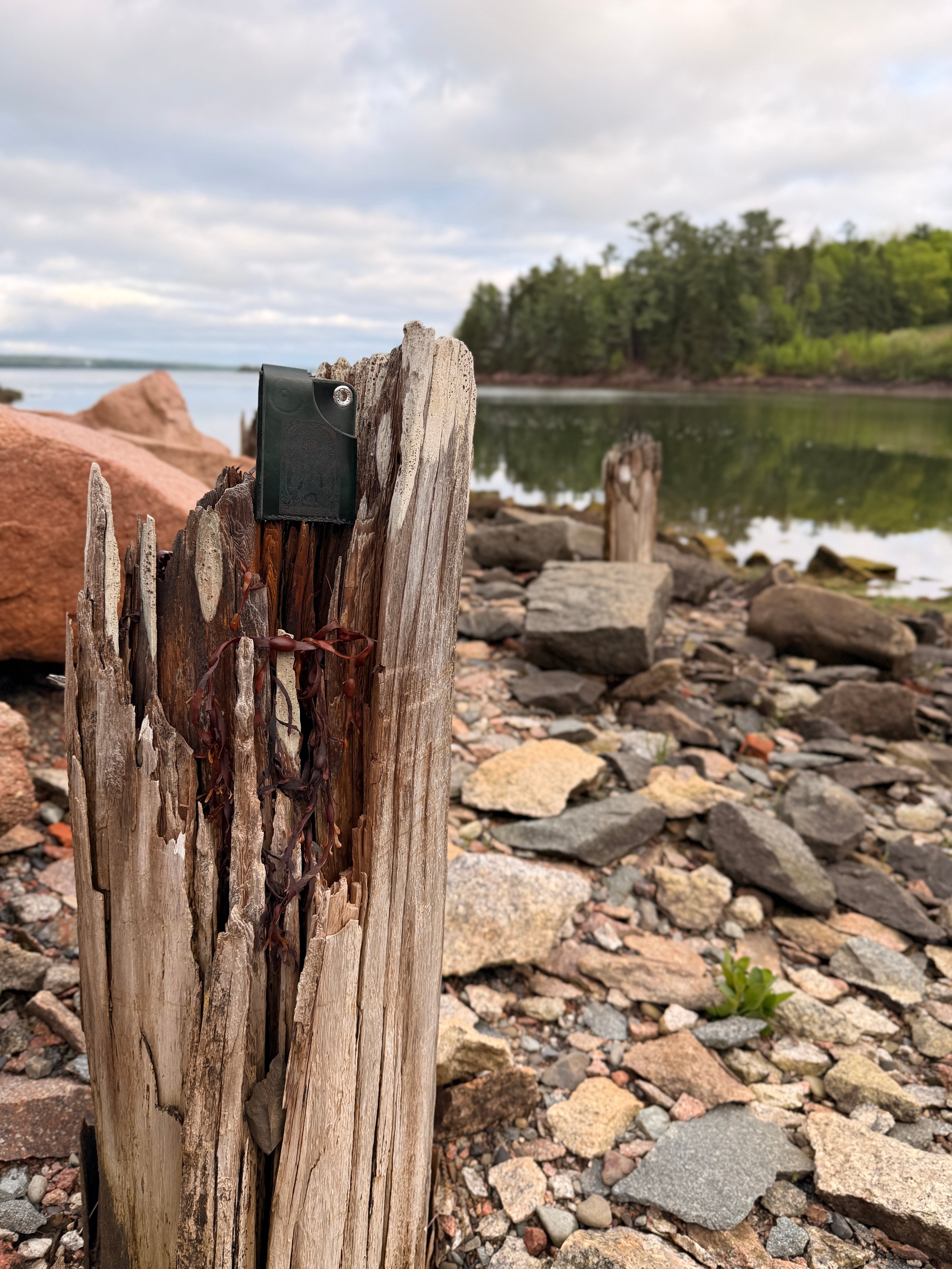 Natural leather card wallet on a Maine beach